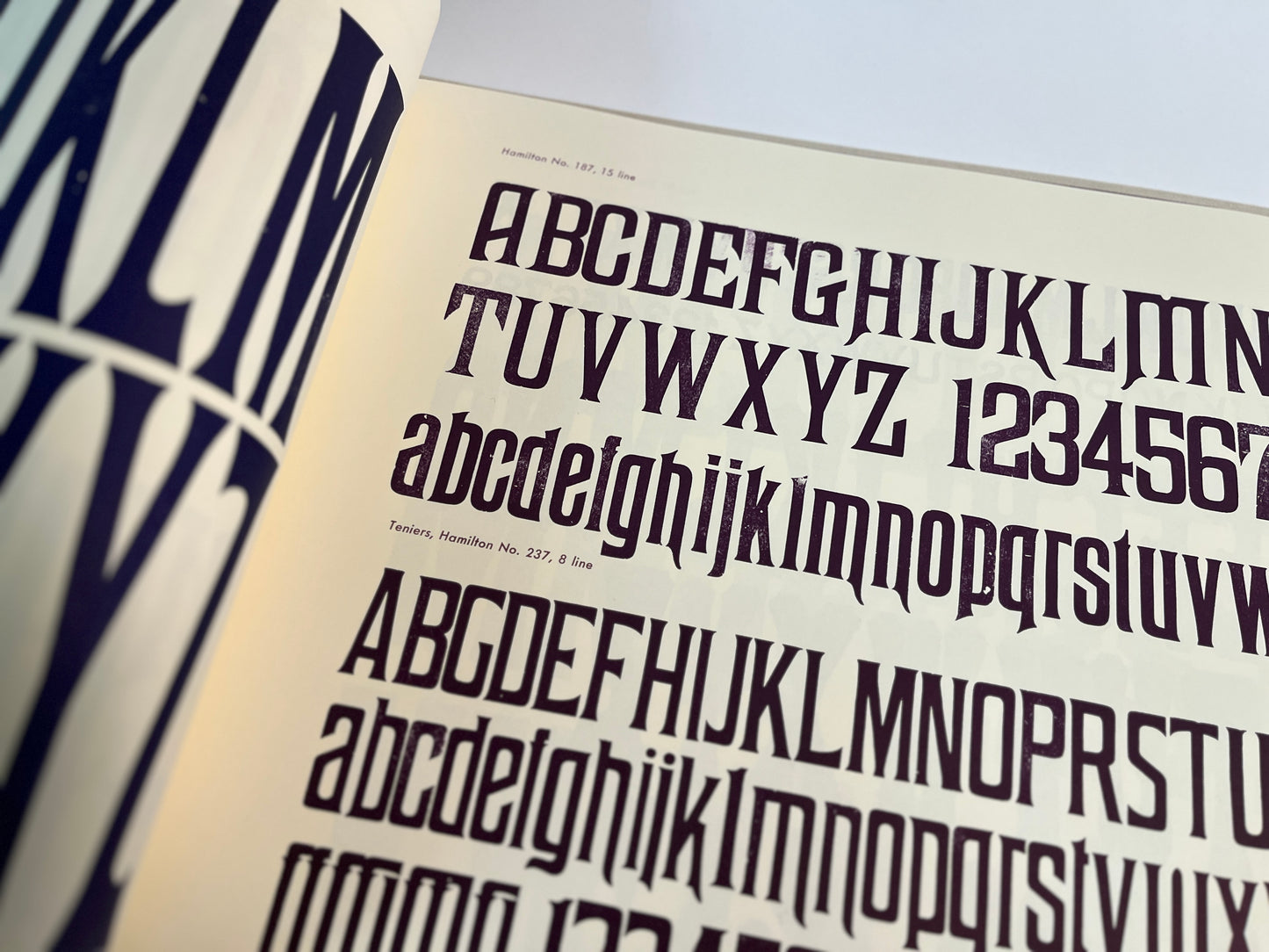 Specimens of Wood Type from the Barbara Anne Kelly Historic Wood Type