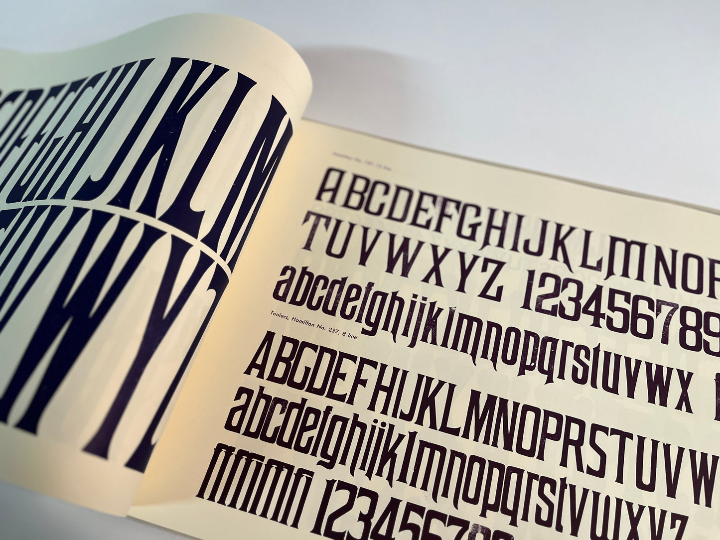 Specimens of Wood Type from the Barbara Anne Kelly Historic Wood Type