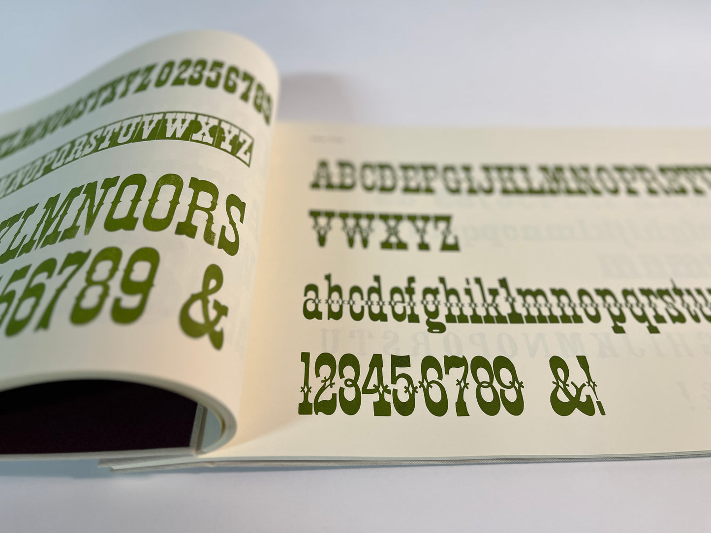 Specimens of Wood Type from the Barbara Anne Kelly Historic Wood Type