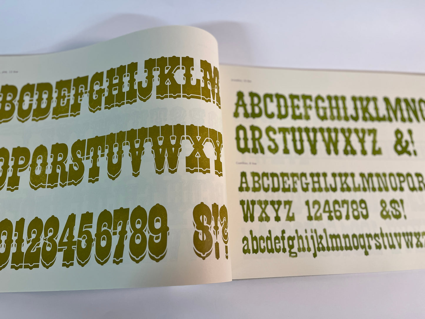 Specimens of Wood Type from the Barbara Anne Kelly Historic Wood Type