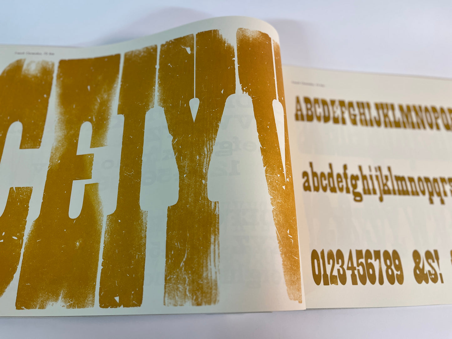 Specimens of Wood Type from the Barbara Anne Kelly Historic Wood Type