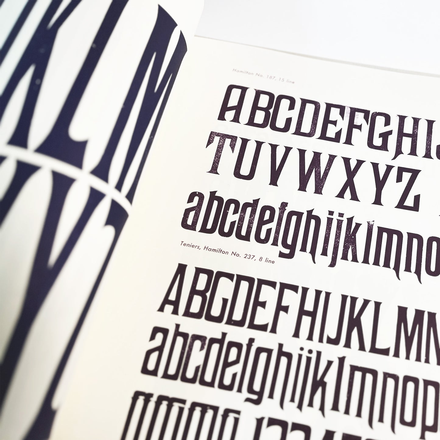 Specimens of Wood Type from the Barbara Anne Kelly Historic Wood Type